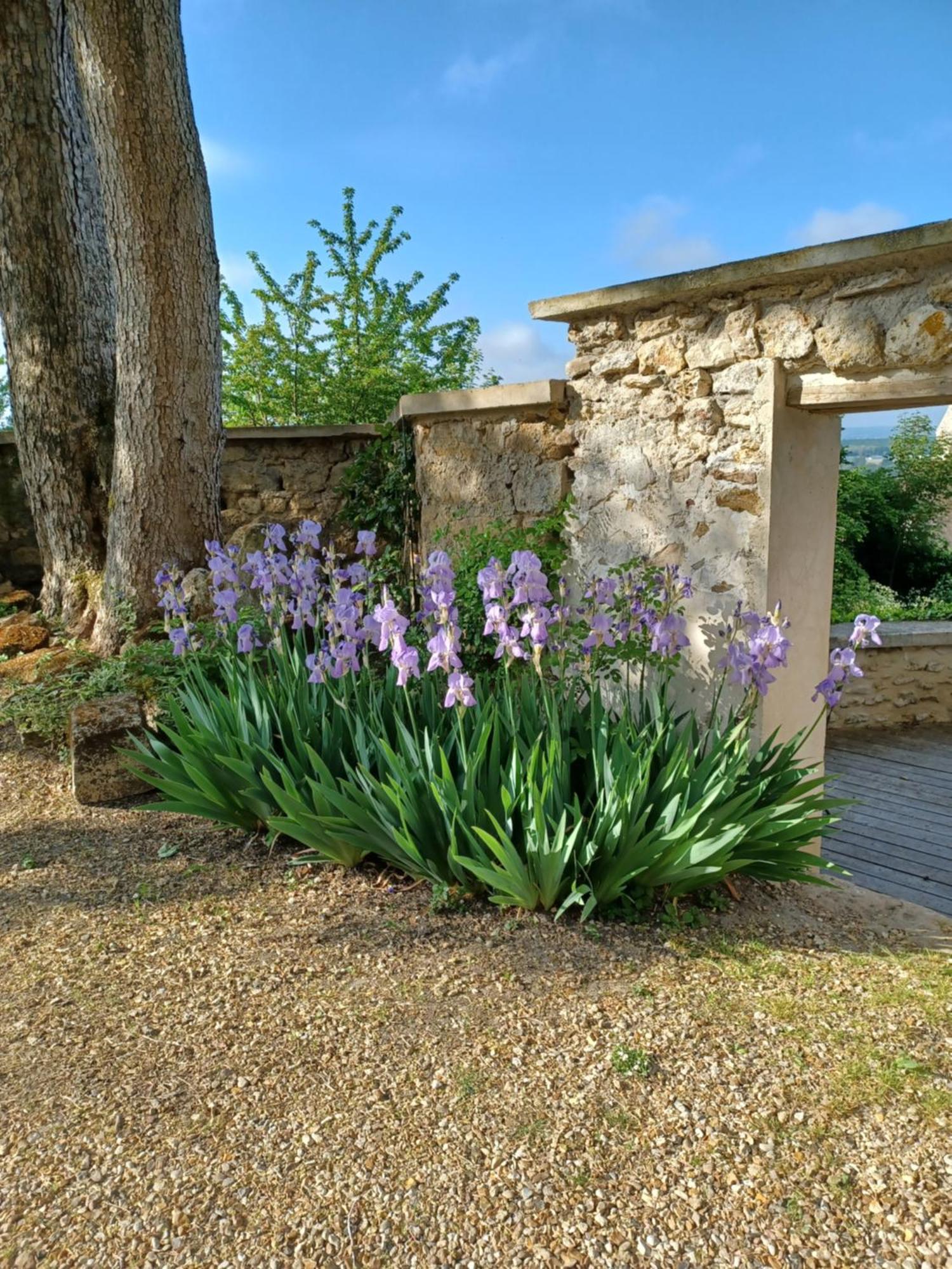 Le Verger Vaux-Sur-Seine エクステリア 写真